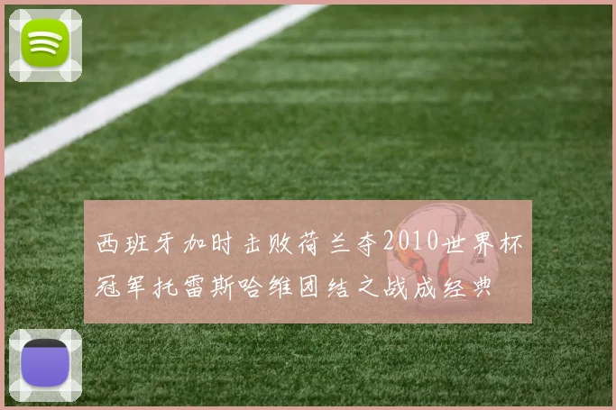 西班牙加时击败荷兰夺2010世界杯冠军托雷斯哈维团结之战成经典