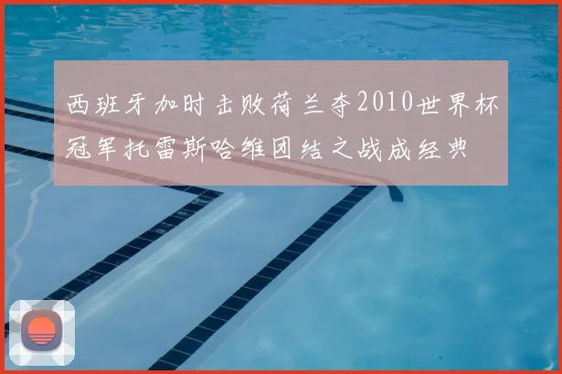 西班牙加时击败荷兰夺2010世界杯冠军托雷斯哈维团结之战成经典