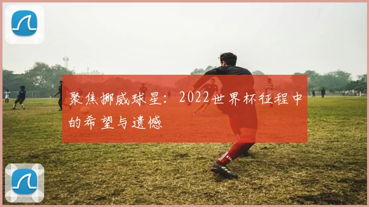 聚焦挪威球星：2022世界杯征程中的希望与遗憾