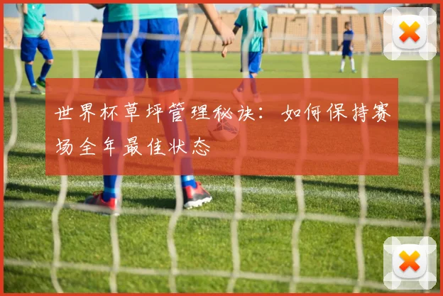 世界杯草坪管理秘诀：如何保持赛场全年最佳状态